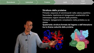 Le biomolecole gli Amminoacidi e le Proteine [upl. by Tiffy121]