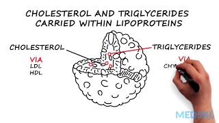 Familial Hypercholesterolemia FH Just How Big is It [upl. by Aneehsirk]