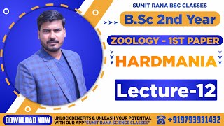 Lt12 Herdmania Part  1  Zoology 1st Paper  BSc2nd Year [upl. by Atiraj]