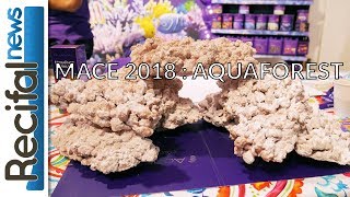 MACE 2018  nouveautés Aquaforest [upl. by Billat]