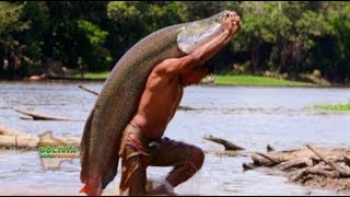 Peces del Amazonas del Beni [upl. by Esirec]