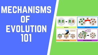 Mechanisms of Evolution 101 [upl. by Eitisahc]