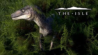 Sprinkles The Utahraptor  The Isle [upl. by Gabe874]