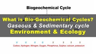 What is Biogeochemical cycles  Environment amp Ecology [upl. by Christie]