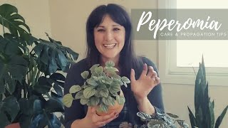 Peperomia  Complete Care amp Propagation Guide [upl. by Silverstein532]