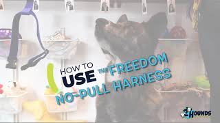 Freedom Harness  Adjustment and Fitting Instructions [upl. by Palladin]