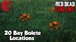 Bay Bolete Locations RDR2 Online  Red Dead Online Bay Bolete Location Guide [upl. by Donovan]