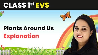 Class 1 EVS  Plants Around Us  Explanation [upl. by Dirgni]