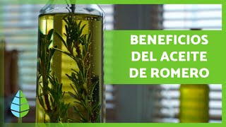 ACEITE de ROMERO 🪔🍃 ¡Propiedades BENEFICIOS y Cómo Hacerlo [upl. by Adiaros711]