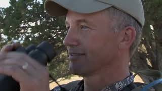 Hunting New Mexico Elk at 2 Yards with Randy Newberg OYOA S3 E4 [upl. by Nivan]