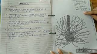 Botany practical file Bsc 1st year [upl. by Nhguav500]