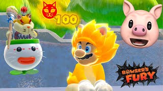 BOWSERS FURY SECRET ENDING ALL 100 Cat Shines [upl. by Burty727]