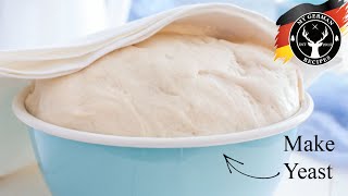 How to make Yeast at home not sourdough ✪ MyGermanRecipes [upl. by Seavey]