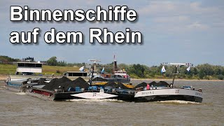 Binnenschiffe auf dem Rhein  Sommer 2022  Binnenschifffahrt [upl. by Jann437]