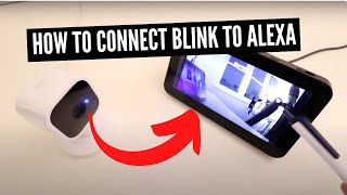 How To Connect Blink To Alexa [upl. by Mcleod751]