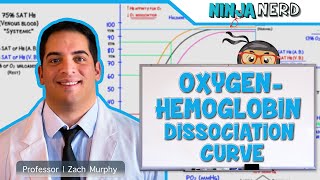 Respiratory  OxygenHemoglobin Dissociation Curve [upl. by Michal]