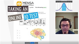 Taking An Online IQ Test [upl. by Westbrook221]