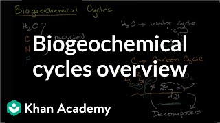 Biogeochemical cycles  Ecology  Khan Academy [upl. by Raddy]