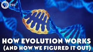 How Evolution Works And How We Figured It Out [upl. by Neraa]