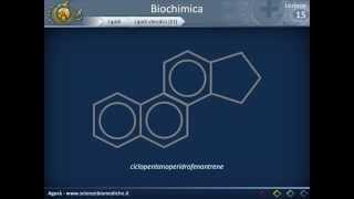 Biochimica strutturale  Lipidi [upl. by Corie595]