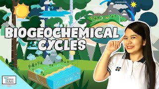 Biogeochemical Cycles  Biology [upl. by Kragh]