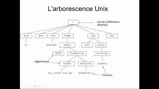 Larborescence des fichiers sous Linux [upl. by Anahsor]