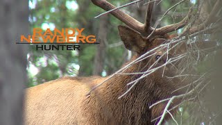 Hunting Utah Archery Elk with Randy Newberg FT S3 E7 [upl. by Season]