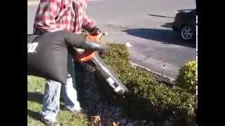 Echo ES250 leaf vacuum blower Shred n Vac review [upl. by Haropizt966]