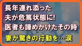 【感動する話泣ける話】夫婦の別れ [upl. by Onairpic938]