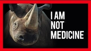 Stop Wildlife Crime The Series  Rhinos Video 4  WWF [upl. by Yelnet444]