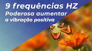 PODEROSA MÚSICA PARA ELEVAR VIBRAÇÃO POSITIVA  9 frequências Hz [upl. by Bovill]