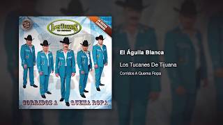 El Águila Blanca  Los Tucanes De Tijuana Audio Oficial [upl. by Schoof570]