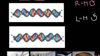 How to recognize LeftHanded and RightHanded DNA [upl. by Anire228]