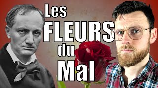 Les FLEURS du MAL  Introduction à la poésie de Baudelaire [upl. by Mmada]