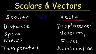 Scalars and Vectors [upl. by Spatz729]