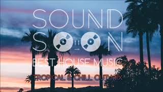 MUSICA DA APERITIVO RELAX 2020 TROPICAL HOUSE 🌴 Dua Lipa Martin Garrix Kygo Sia Style 🌴 Chill Out [upl. by Thanh]