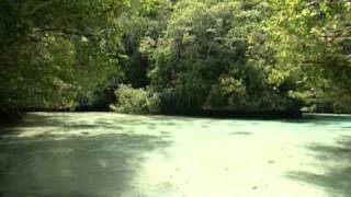 Palau Tour Micronesia by Asiatravelcom [upl. by Waxman167]