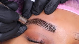 Microblading  The BEST Technique [upl. by Nickelsen]