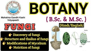 General Characteristics of FungiMyceliumHyphae Modification of MyceliumBSc 1st year BotanyFungi [upl. by Reeve]