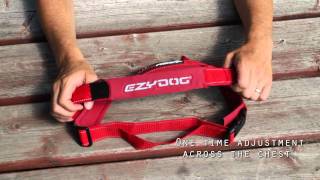 EzyDog QuickFit Dog Harness  Simple Support [upl. by Lukin706]