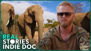 Veterans Vs Poachers Wildlife Protection Documentary [upl. by Kristoforo]