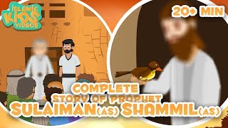 Prophet Stories In English  Prophet Shammil AS amp Prophet Sulaiman AS Compilation [upl. by Intyre]