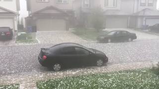 CRAZY GOLFBALL SIZED HAIL STORM IN CALGARY [upl. by Adnal]