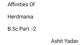 Affinities Of Herdmania BSc Part 2 [upl. by O'Connell698]