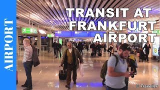 TRANSIT WALK AT FRANKFURT Airport FRA Terminal 1  Connection Flight Transfer Arriving amp Departing [upl. by Naxor486]