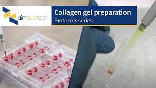 IdentX – Collagen Gel Preparation Protocol [upl. by Anyad]