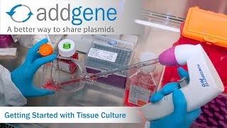 Getting Started with Tissue Culture [upl. by Amalbergas]