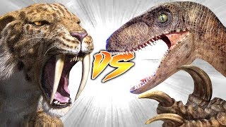 SMILODON VS UTAHRAPTOR Who Would Win [upl. by Viola]