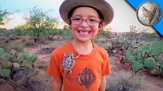 Horned Lizards in Our Backyard [upl. by Blanc416]