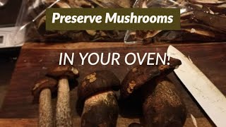 How to Dehydrate Mushrooms in your Oven Boletus  Porcini and Neoboletus species [upl. by Rolanda]